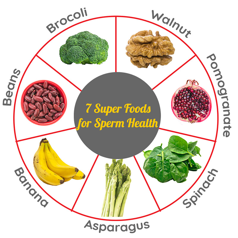 7 Super Foods That Increase Sperm Count Dr Kamat S Hospital